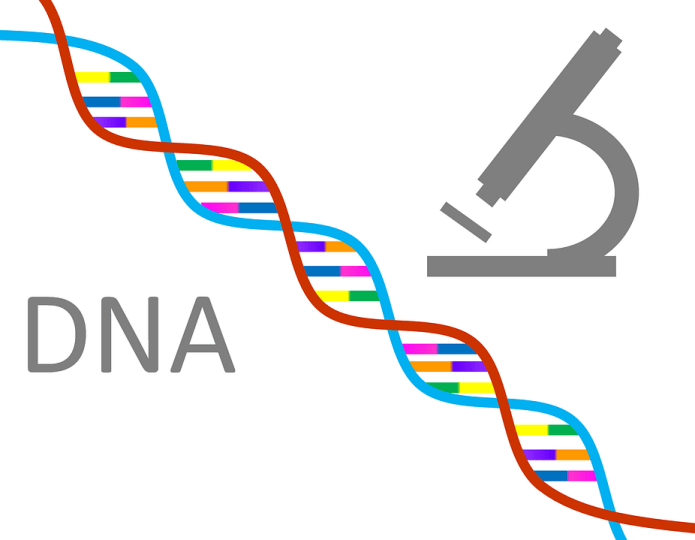 DNA-Strang und Mikroskop