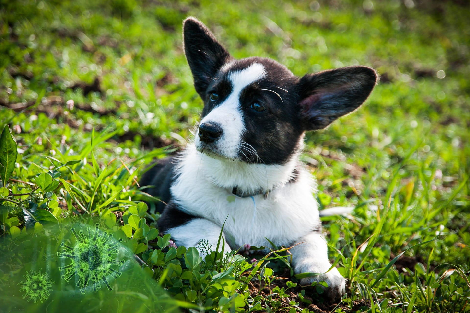 Unaufgeregte Wachsamkeit – Leben in Zeiten des Corona Virus