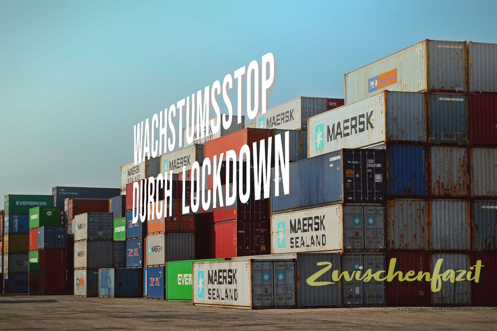 Erzwungener Wachstumsstop durch Lockdown – ein vorsichtiges Zwischenfazit