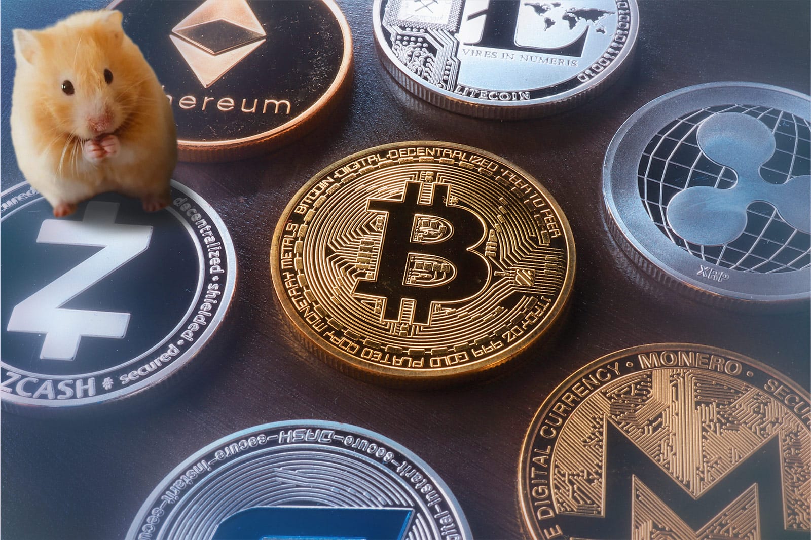 Tierisch viel los in der Kryptowelt