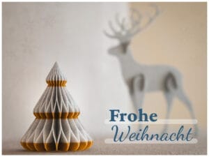 Weihnachtsbaum - einmal anders.